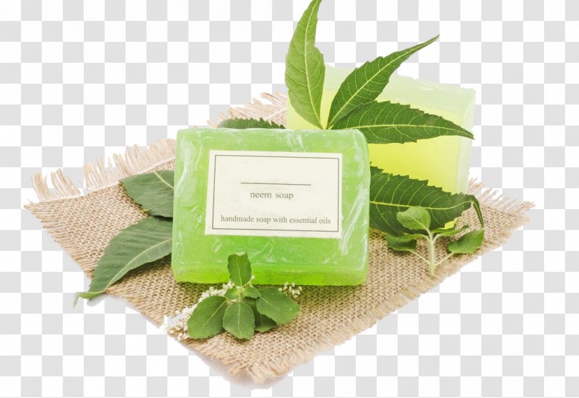 Soap Herb Manufacturing India - Essential Oil Transparent PNG