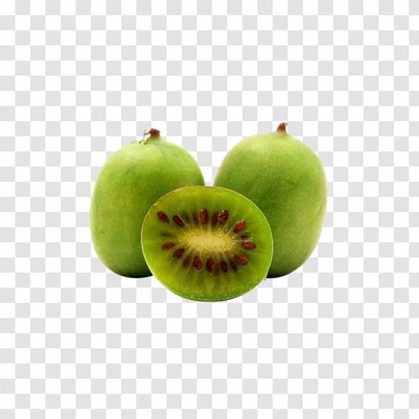 Kiwifruit Water Download - Fruit - Hydra Kiwi Transparent PNG