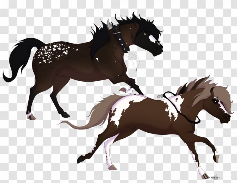 Horse Stallion Foal Pony Equestrian - Bridle - Hell Transparent PNG