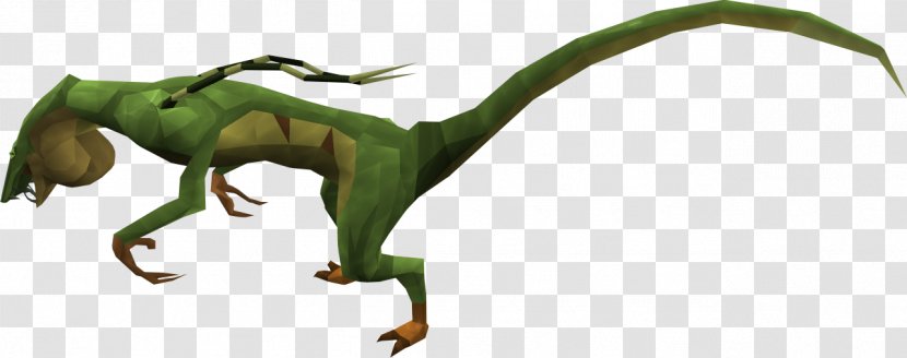 Velociraptor Tyrannosaurus Reptile Dinosaur Line Art - Organism - Amphibian Transparent PNG