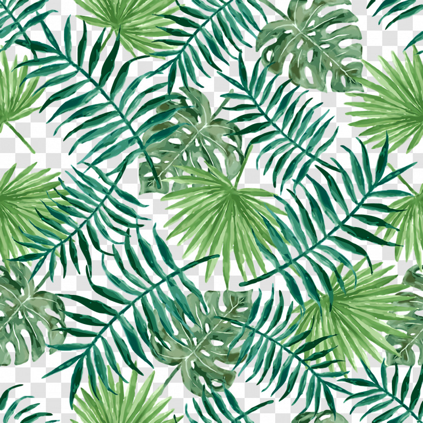 Pine Leaf Evergreen Green Pattern Transparent PNG