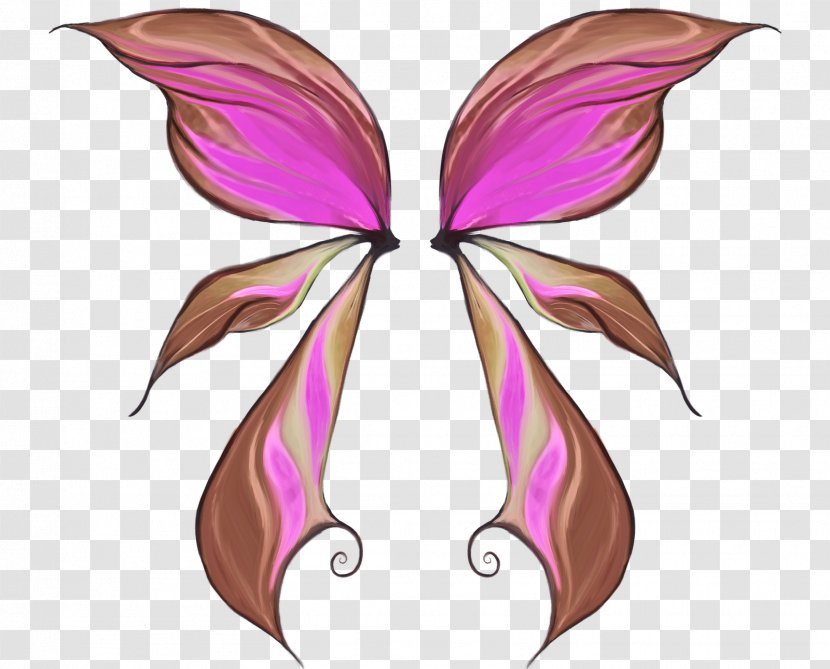 Butterfly Wing Fairy - Insect - Campfire Pictures Transparent PNG