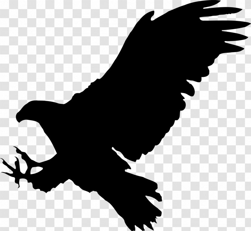 Bald Eagle Bird Silhouette - Vulture - Hawk Transparent PNG