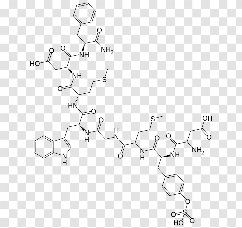 Sincalide Kinevac Drugs.com Wikipedia - Encyclopedia - Peptide Transparent PNG