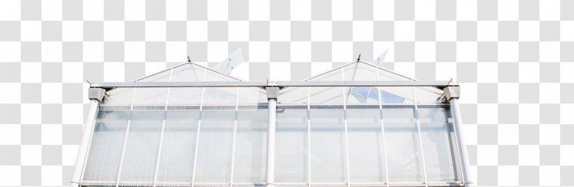Roof Line Angle Daylighting - Yellow Bell Pepper Transparent PNG