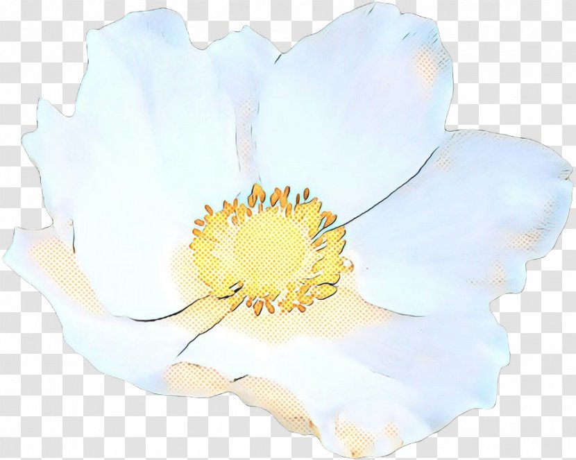 White Flower Petal Yellow Plant - Pop Art - Cut Flowers Wildflower Transparent PNG