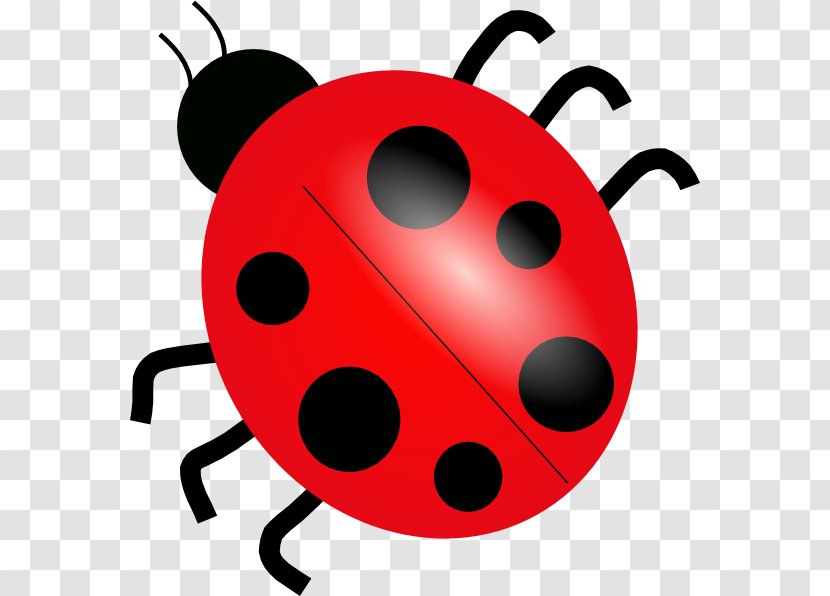 Free Content Ladybird Clip Art - Drawing - Ladybug Cliparts Backgrounds Transparent PNG