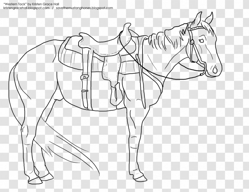 Mustang Coloring Book Western Saddle Horse Tack - Artwork Transparent PNG