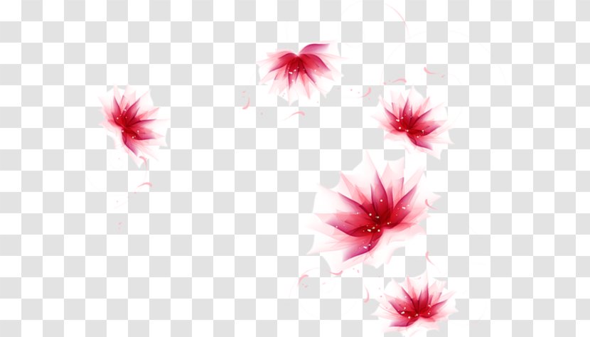 Desktop Wallpaper Thanksgiving - Pink Transparent PNG