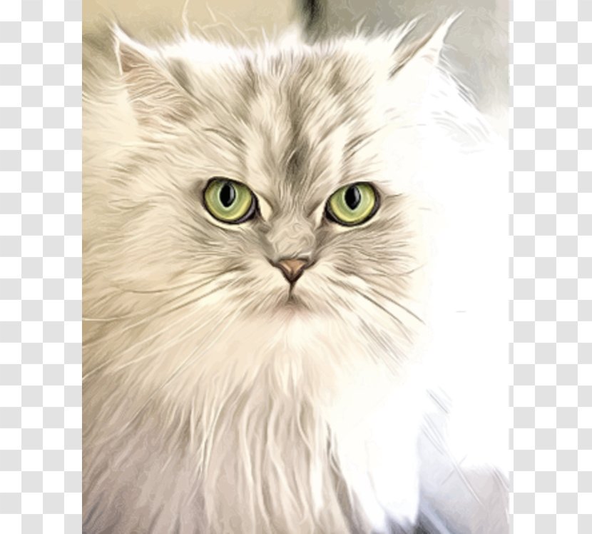 Cat Kitten Felidae Dog Veterinarian - Persian - Portrait Painting Cliparts Transparent PNG