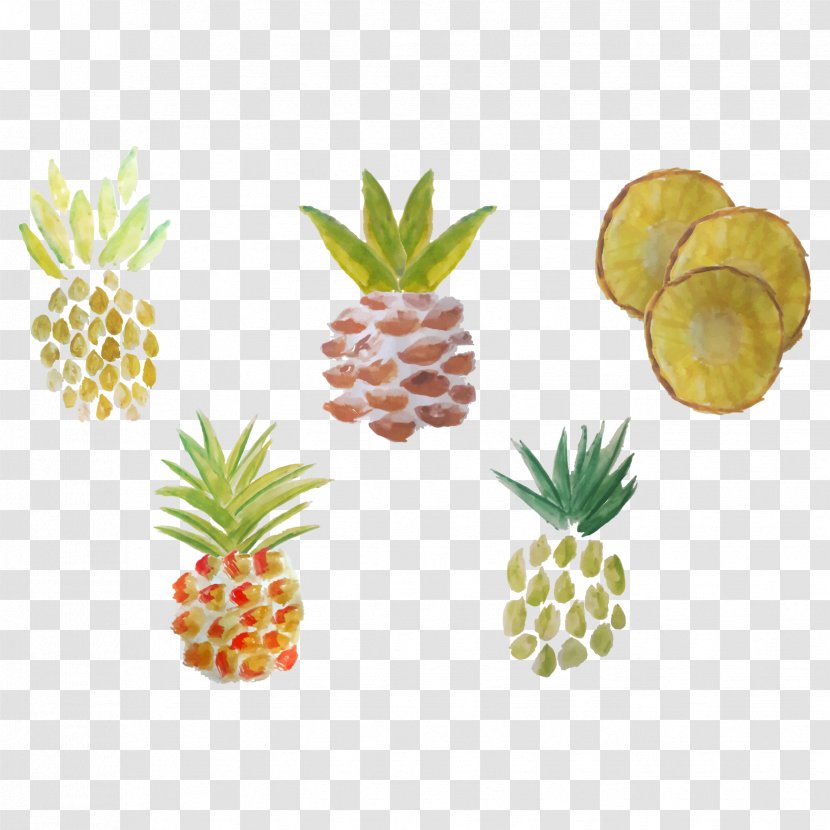 Watercolor Painting Pineapple Drawing - Flowerpot - Vector Transparent PNG