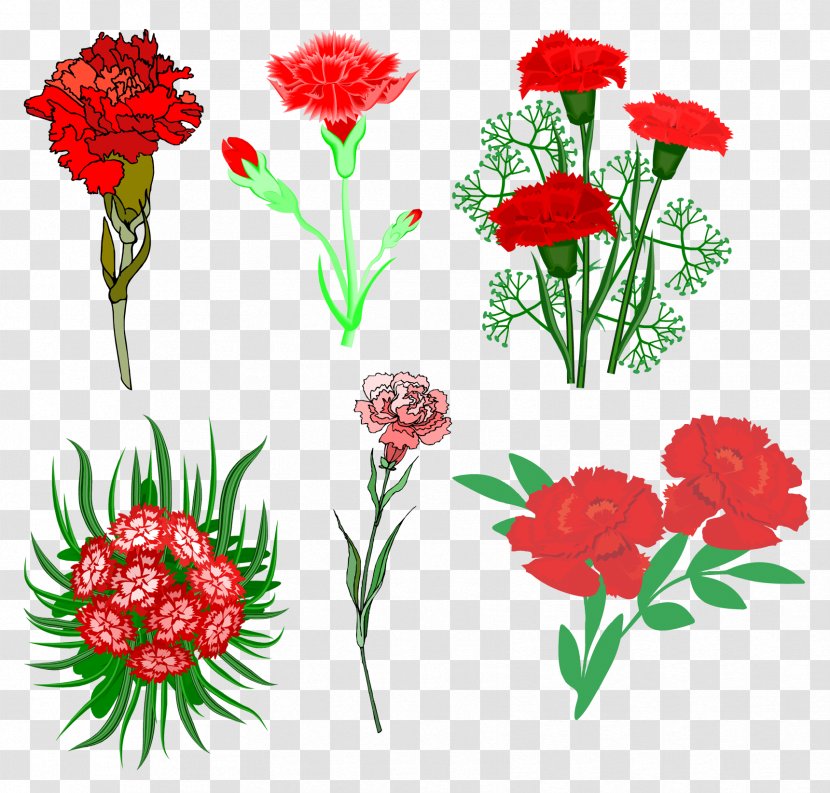Polka Hall Of Fame Cut Flowers Carnation Clip Art - Plant - Flower Transparent PNG