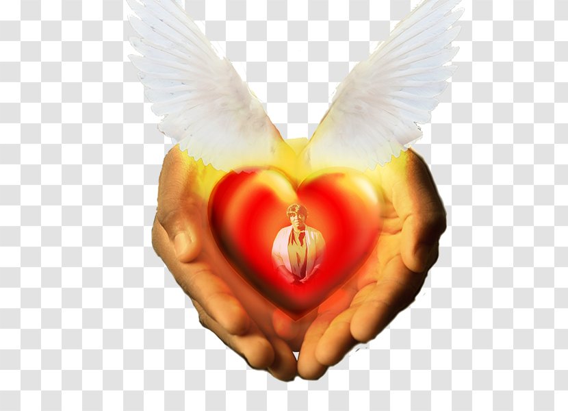 Heart - Wing Transparent PNG