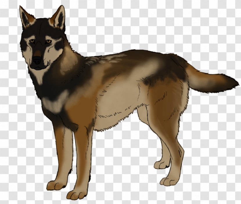 Saarloos Wolfdog Siberian Husky Tamaskan Dog Kunming German Shepherd - Native American Indian Transparent PNG