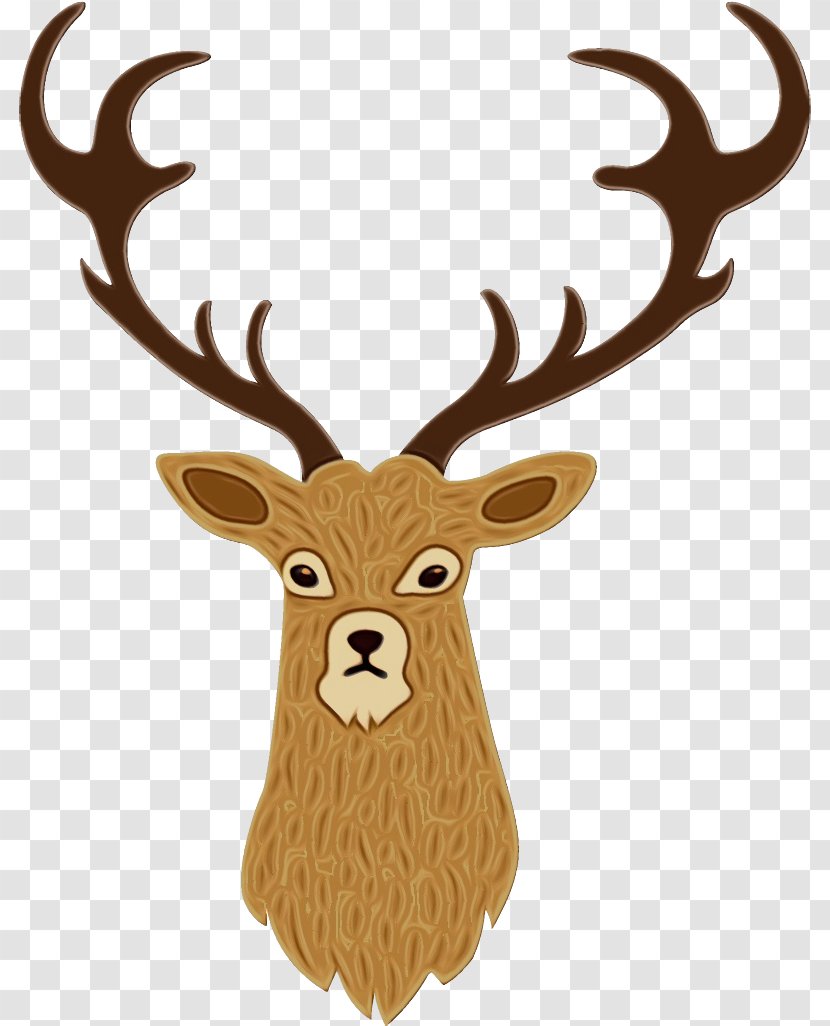 Reindeer - Deer - Moose Fawn Transparent PNG