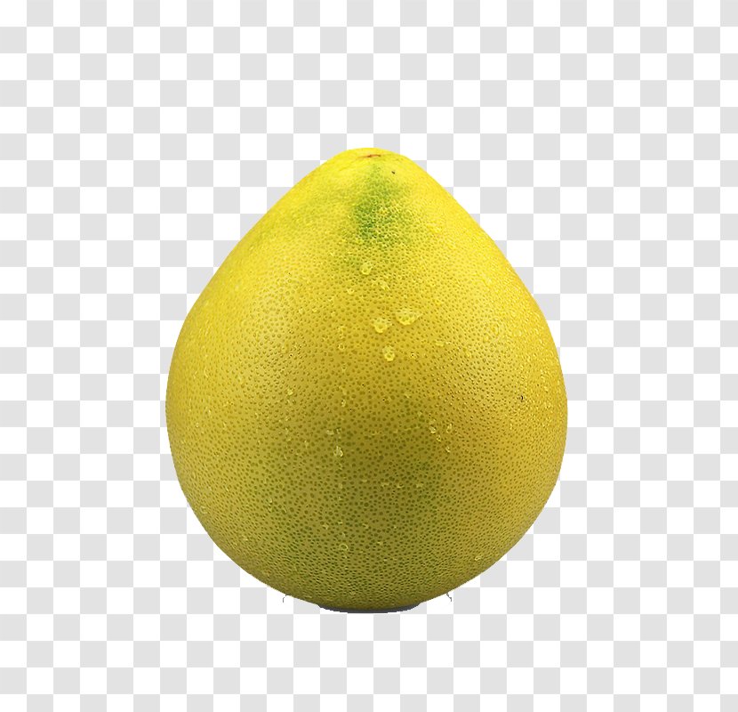Lemon Citron Grapefruit Citrus Junos Pomelo - A Whole Transparent PNG