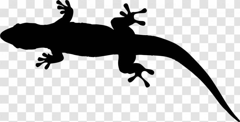 Gecko Lizard Amphibians Clip Art Fauna - Amphibian - Silhouette Transparent PNG