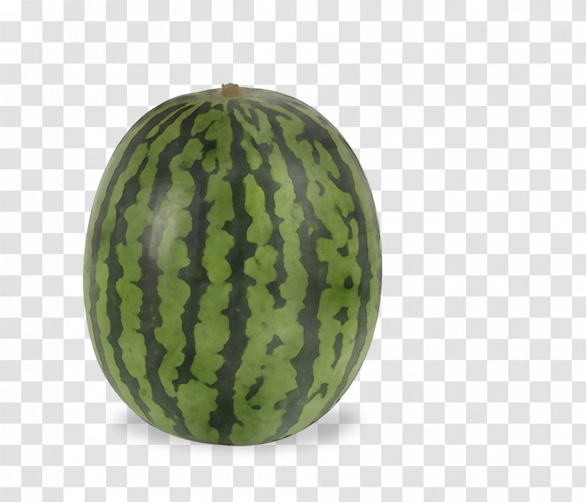 Watermelon Cartoon - Box - Cucurbita Vegetable Transparent PNG