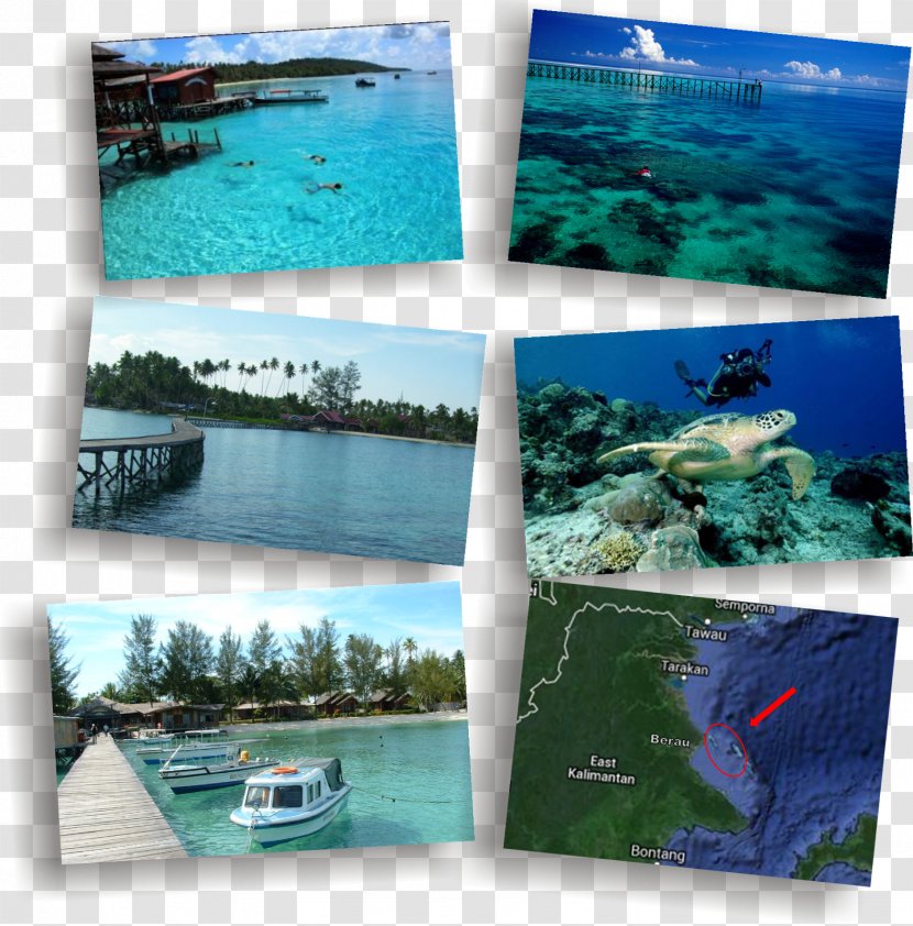 Derawan Islands Water Resources Ecosystem Sea Leisure - Aqua Transparent PNG