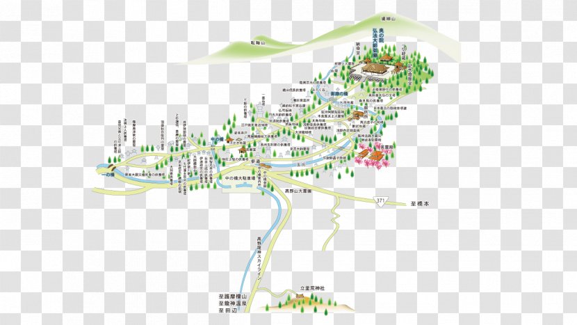 Mount Kōya Map Urban Design Line - Plant Transparent PNG
