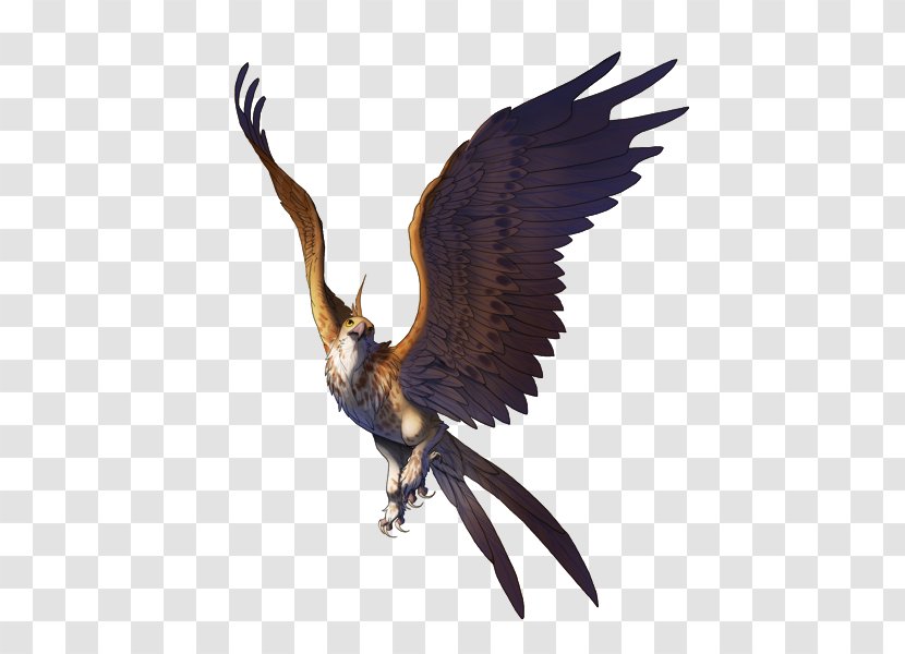 Bird Of Prey Falcon Bald Eagle Transparent PNG