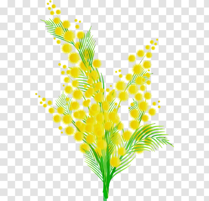 Yellow Plant Leaf Flower Grass Transparent PNG