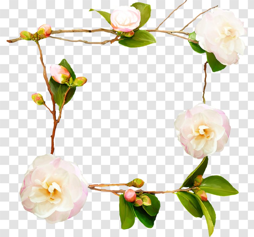 Flowering Plant Cherry Blossom Twig - Stem Transparent PNG