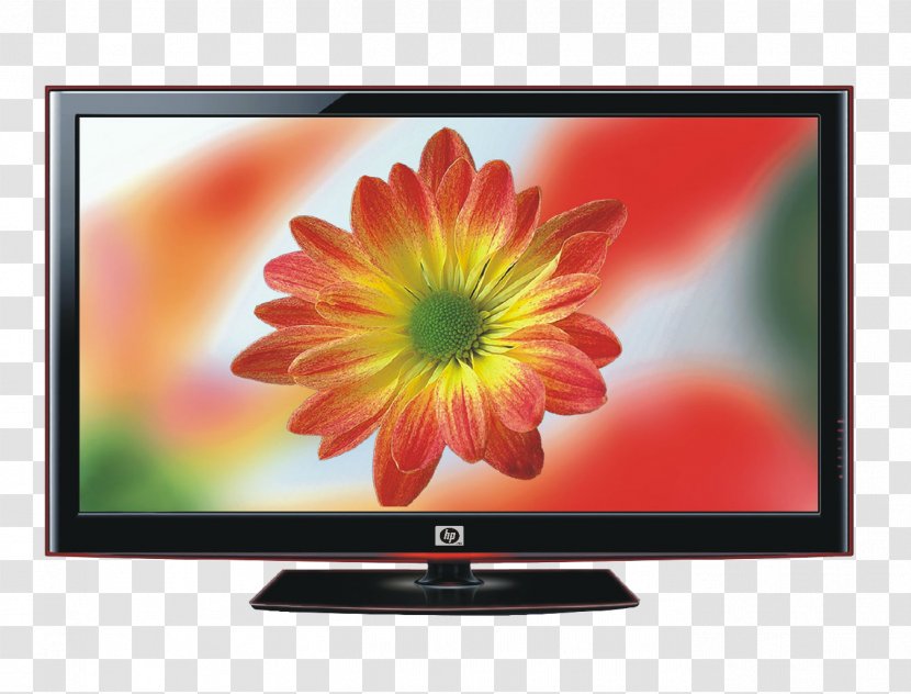 Liquid-crystal Display Hisense LED-backlit LCD Television - Flower - 4-core CPU TV 64 14 Nuclear Chi Transparent PNG