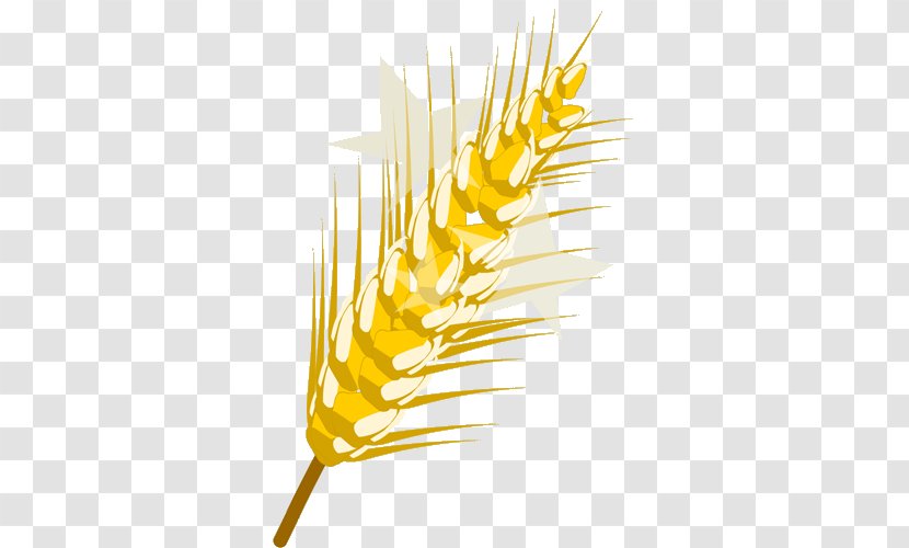 Dofus Cereal Common Wheat Wikia - Commodity Transparent PNG