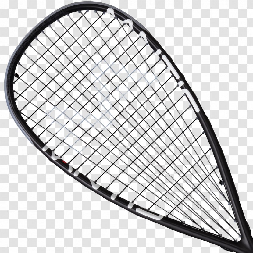 Racket Squash Babolat Rakieta Tenisowa Tennis - Paul Coll Transparent PNG