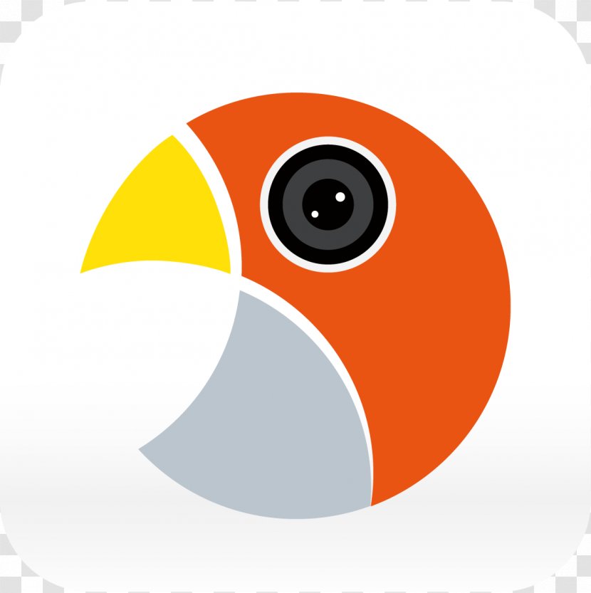 Logo Product Clip Art Font Beak - Orange Sa Transparent PNG