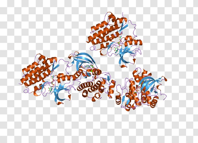 ABL2 Philadelphia Chromosome Tyrosine Kinase Bcr-Abl Tyrosine-kinase Inhibitor - Art - Protein Transparent PNG