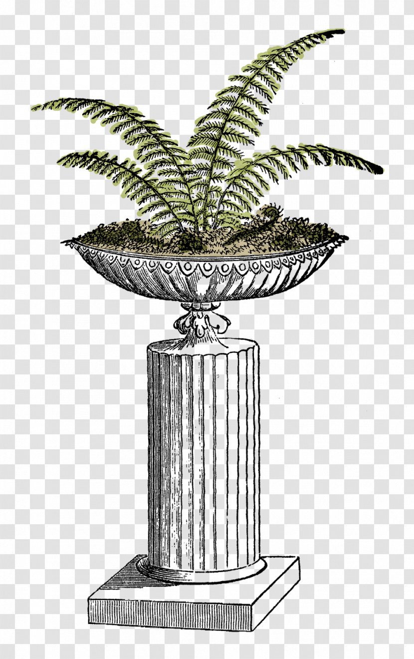 Fern Plant Flowerpot Clip Art - Garden Transparent PNG