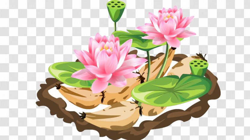 Floral Design Flowerpot Flowering Plant Herbaceous - Lotus Transparent PNG