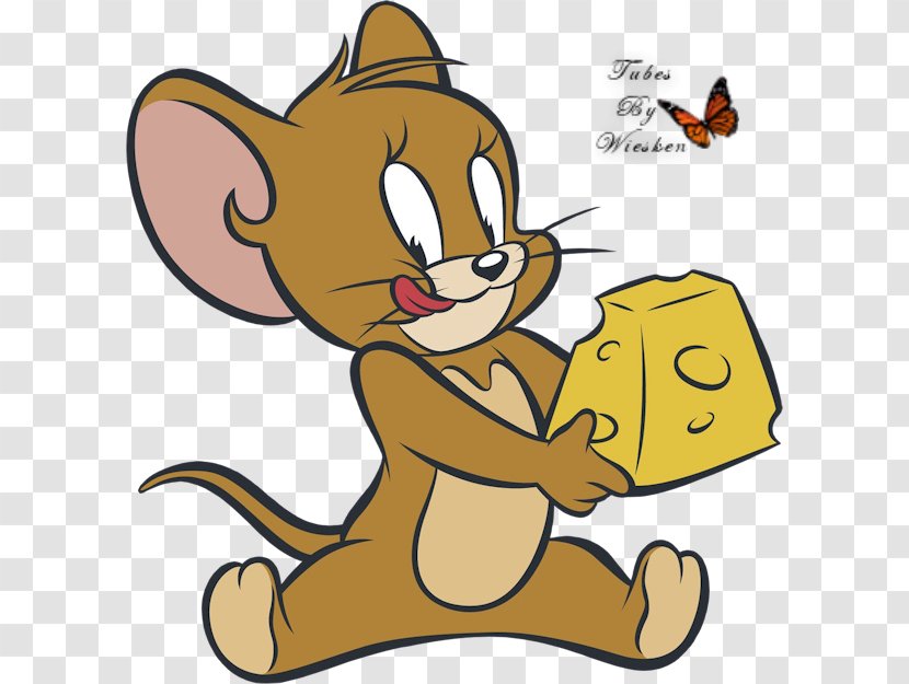 Jerry Mouse Tom Cat And Cartoon - Small To Medium Sized Cats Transparent PNG
