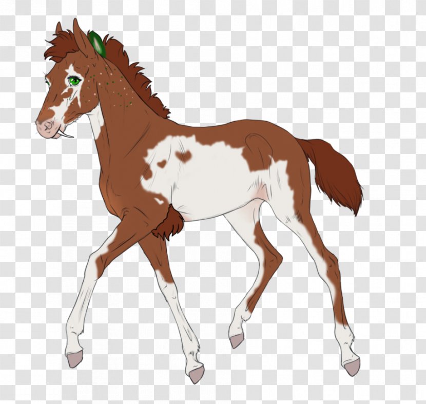 Foal Mustang Colt Stallion Mare - Mammal Transparent PNG