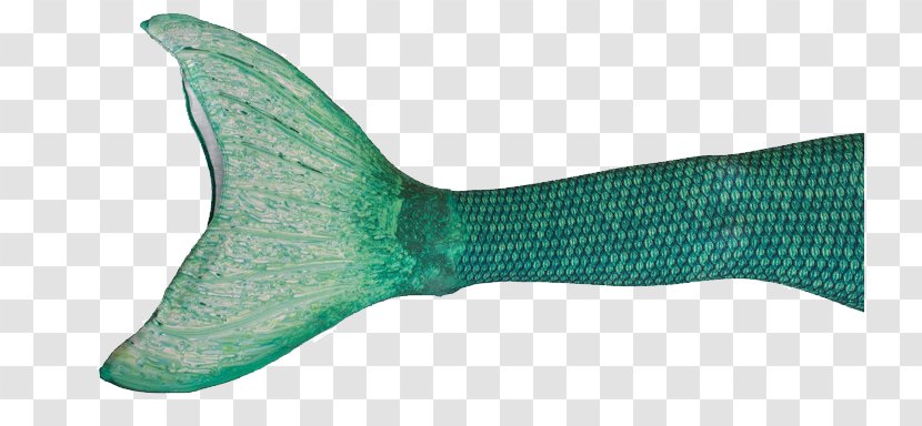 Mermaid Tail Ariel - Little Transparent PNG