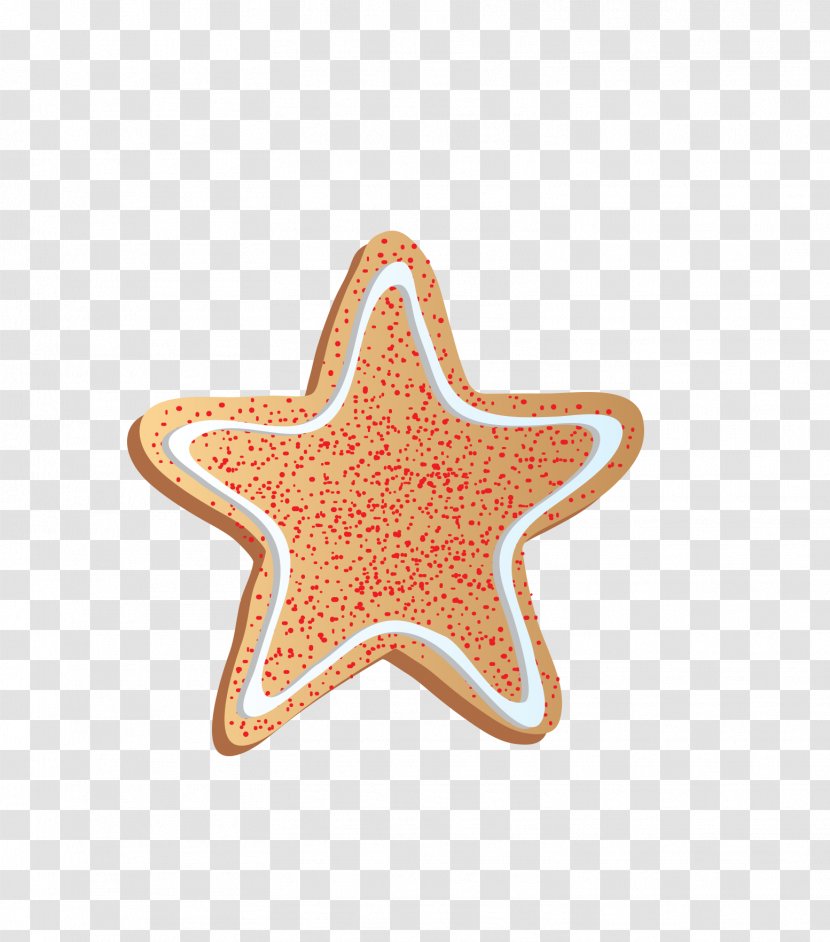 Euclidean Vector - Orange - Biscuit Transparent PNG