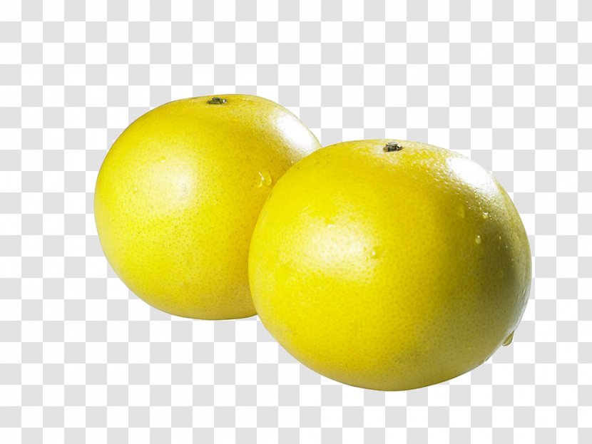 Lemon Grapefruit Pomelo Citrus Junos - Software - Two Transparent PNG