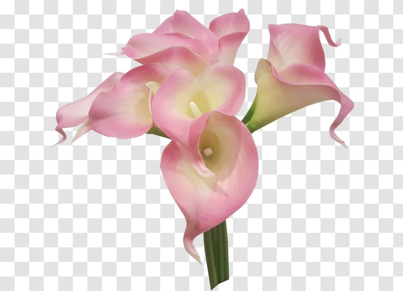 Flower Bouquet Cut Flowers Artificial Lilium - Moth Orchid Transparent PNG