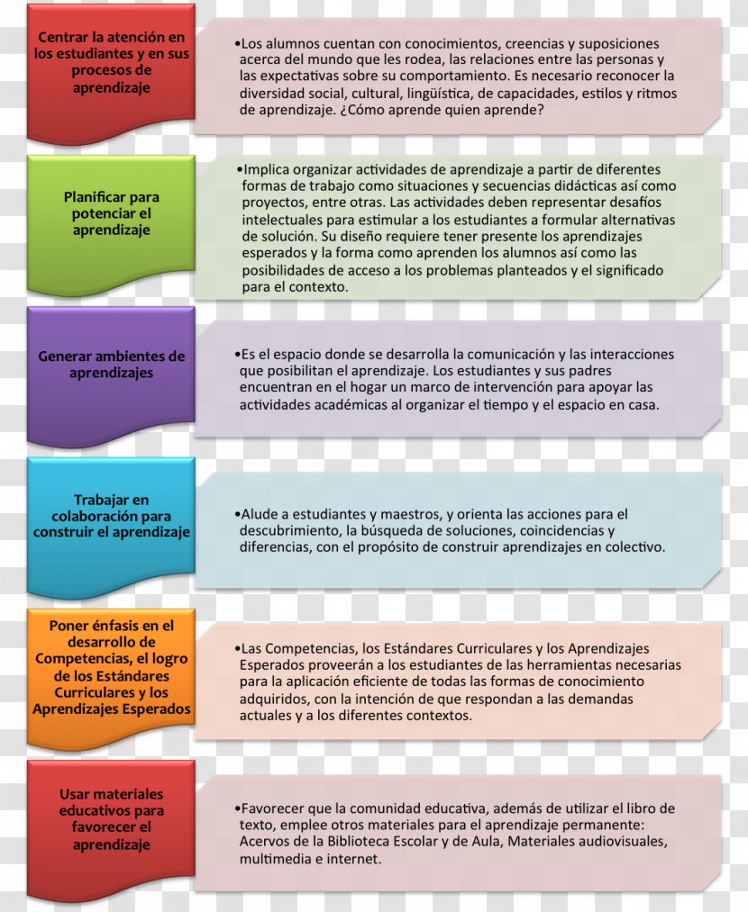 Primary Education Pedagogy Teacher School - Evaluation Transparent PNG