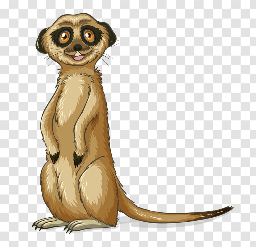 Meerkat Royalty-free Clip Art - Mammal - Cute Little Raccoon Transparent PNG