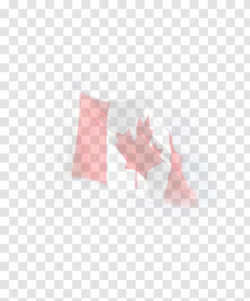 Shawn Richardson's Dangerous Days Flag Of Canada - Pink Transparent PNG