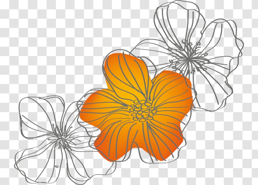 Clip Art Drawing Image Monarch Butterfly - Flower Nature Transparent PNG