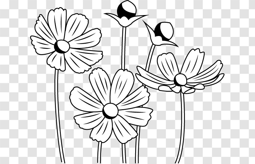 Floral Design Black And White Monochrome Painting Drawing - Line Art - Flower Transparent PNG
