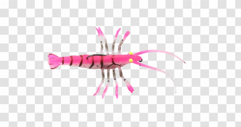 Decapoda Insect Pink M Finger Transparent PNG