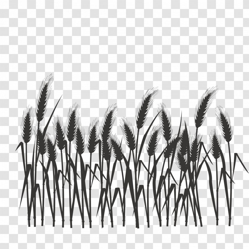 Silhouette Black And White - Hip Hop Movement - Of Wheat Field Transparent PNG
