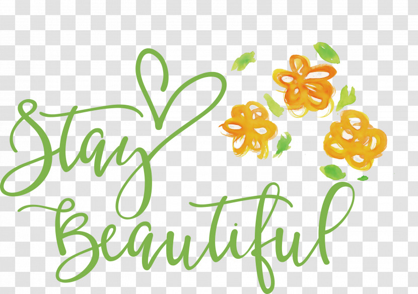 Stay Beautiful Fashion Transparent PNG