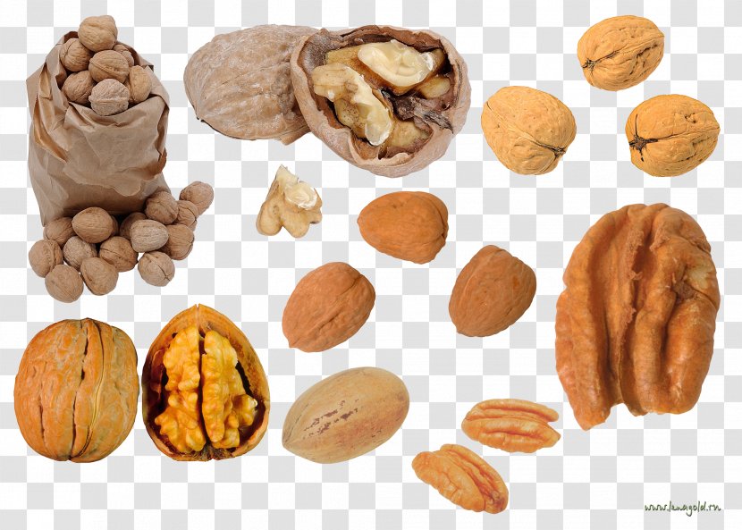 Walnut Dried Fruit Auglis Clip Art - Nuts Seeds Transparent PNG