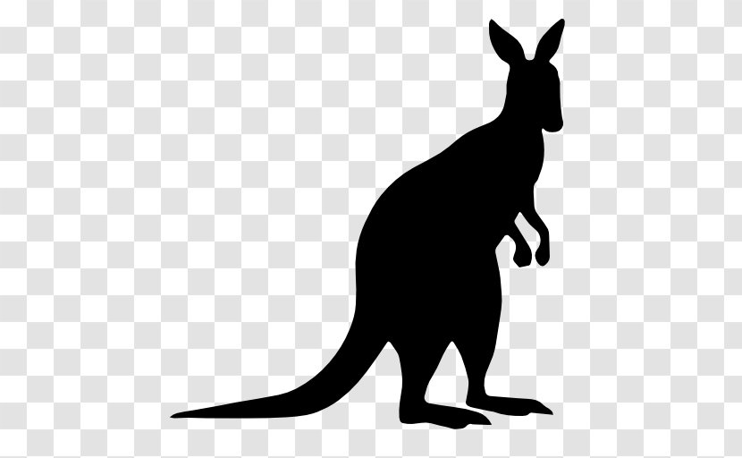 Kangaroo Silhouette Clip Art - Wildlife Transparent PNG